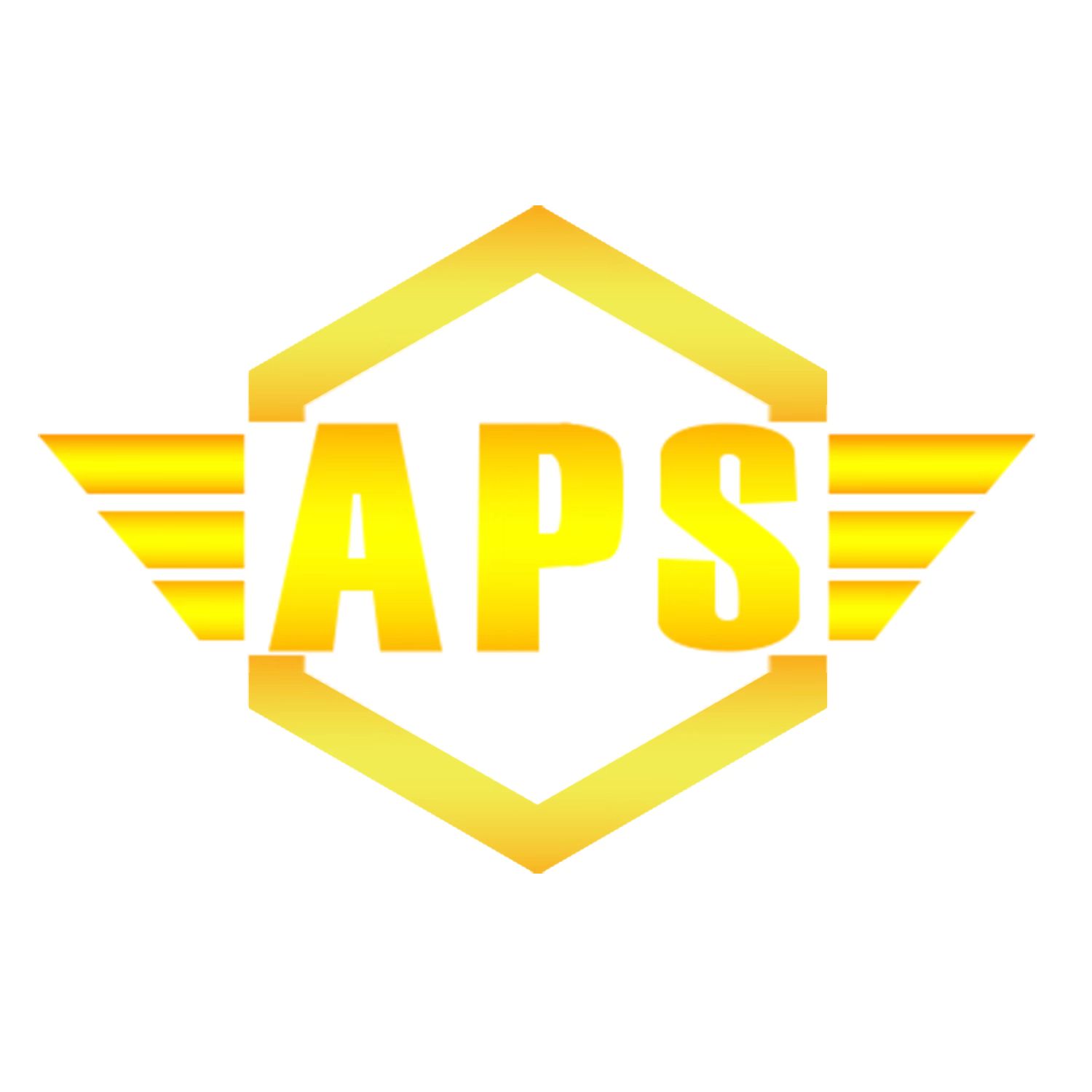aps厂